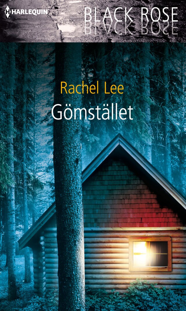 Book cover for Gömstället