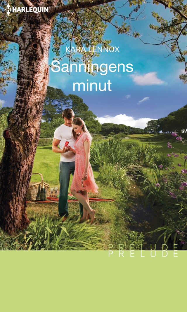 Copertina del libro per Sanningens minut
