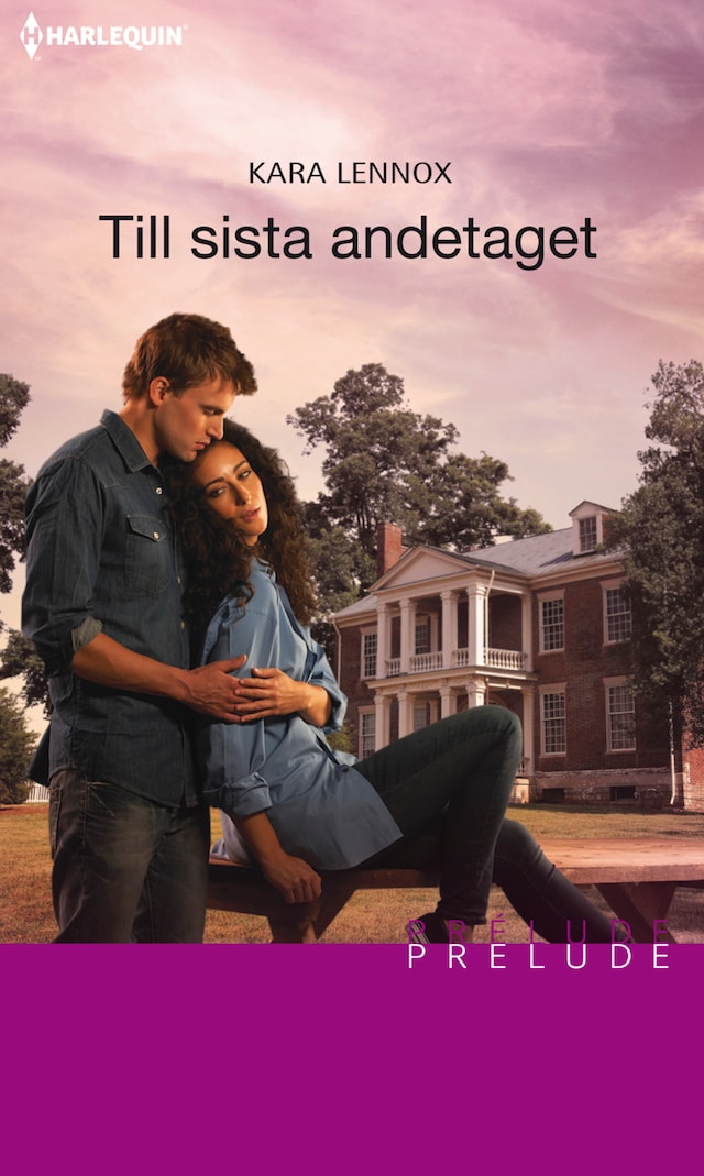 Book cover for Till sista andetaget