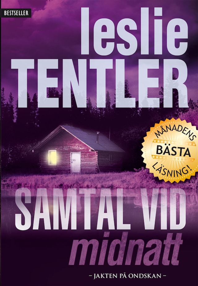 Book cover for Samtal vid midnatt