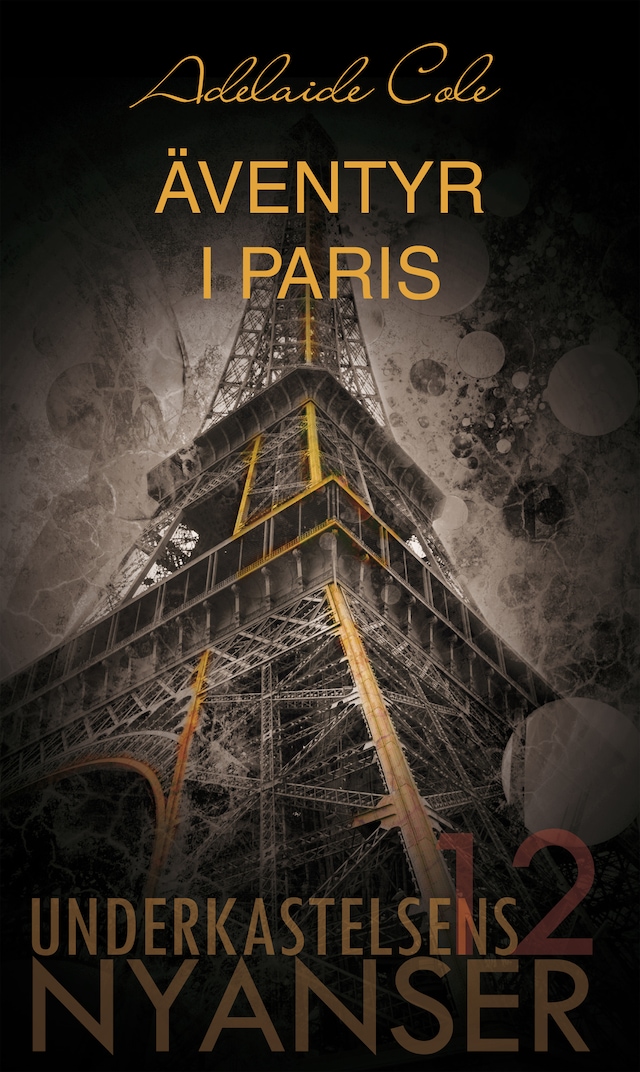 Couverture de livre pour Äventyr i Paris