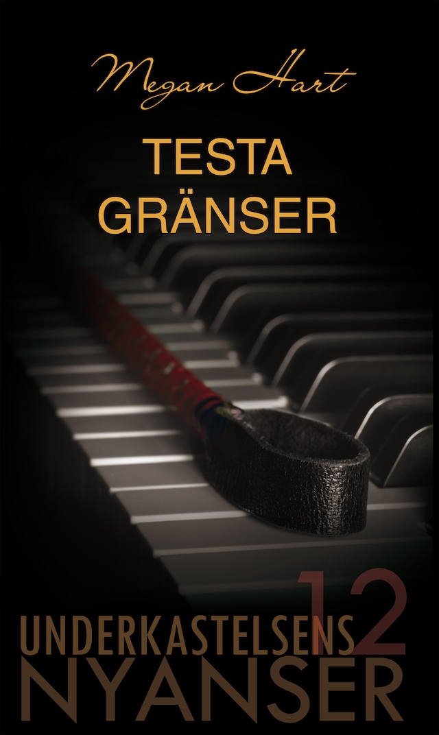 Book cover for Testa gränser