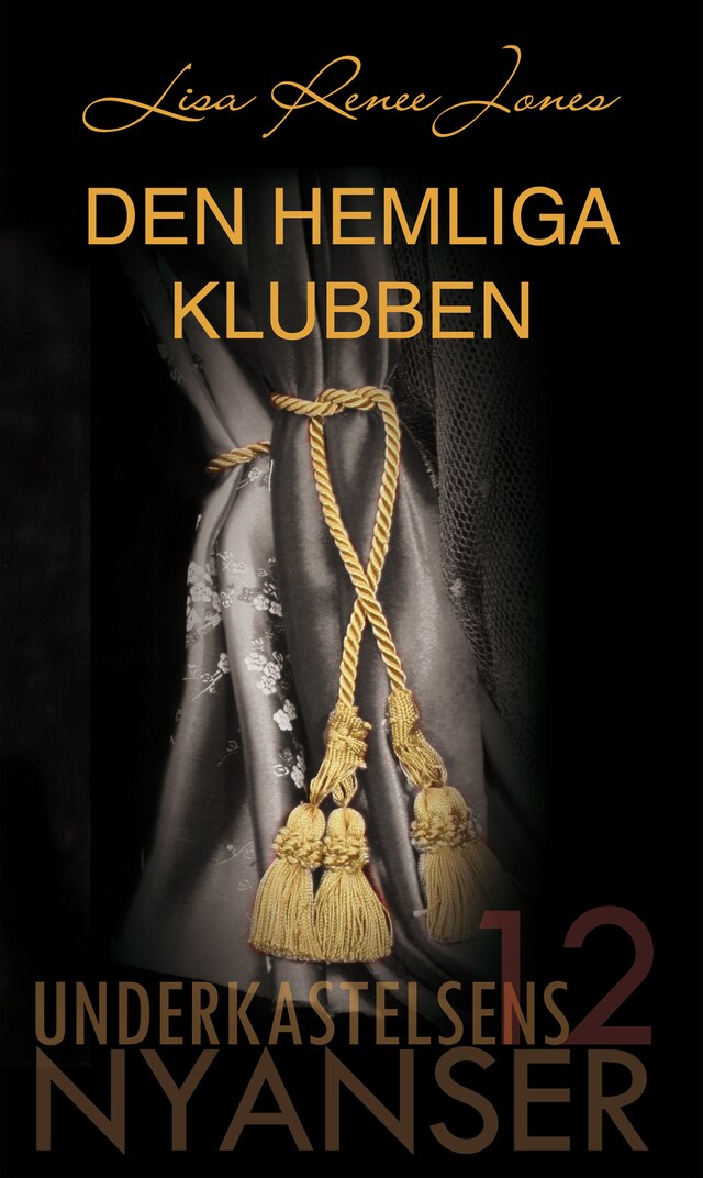 Book cover for Den hemliga klubben