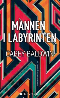 Mannen i labyrinten