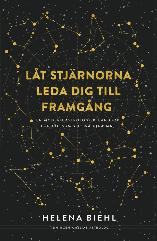 Couverture de livre pour Låt stjärnorna leda dig till framgång