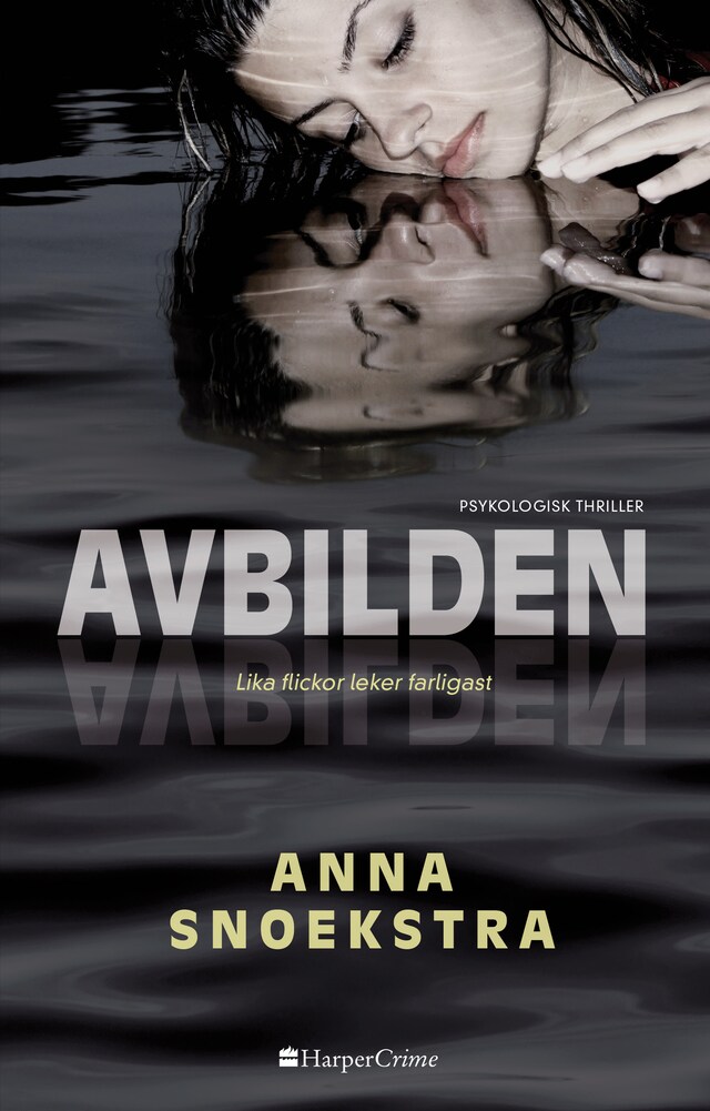 Book cover for Avbilden
