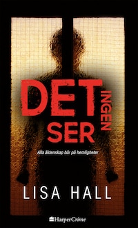 Det ingen ser