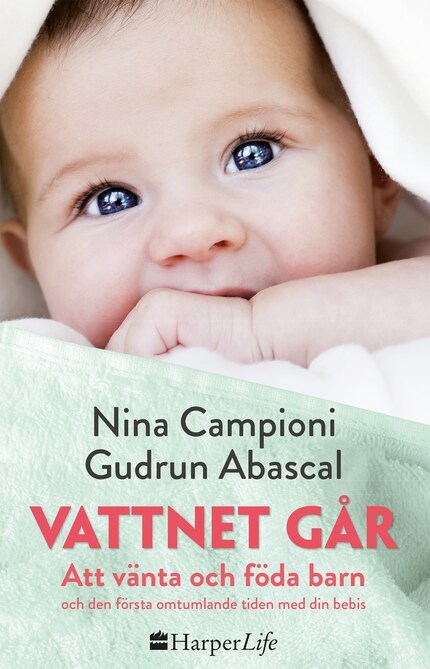 Vattnet går bookCoverFor