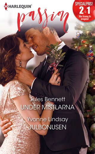 Under mistlarna / Julbonusen bookCoverFor