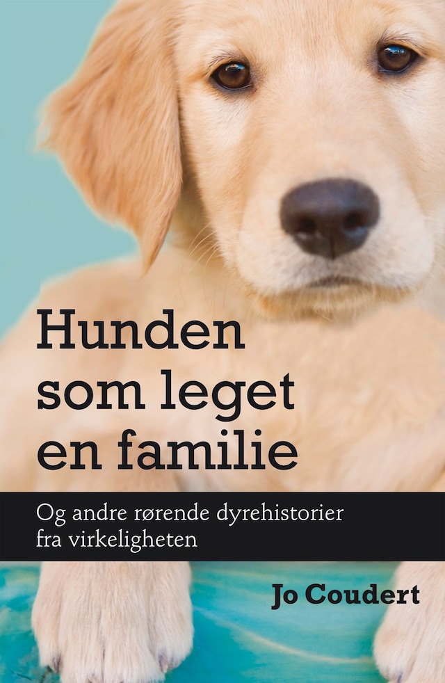 Bokomslag for Hunden som leget en familie