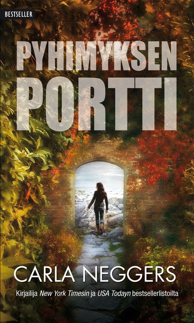 Book cover for Pyhimyksen portti