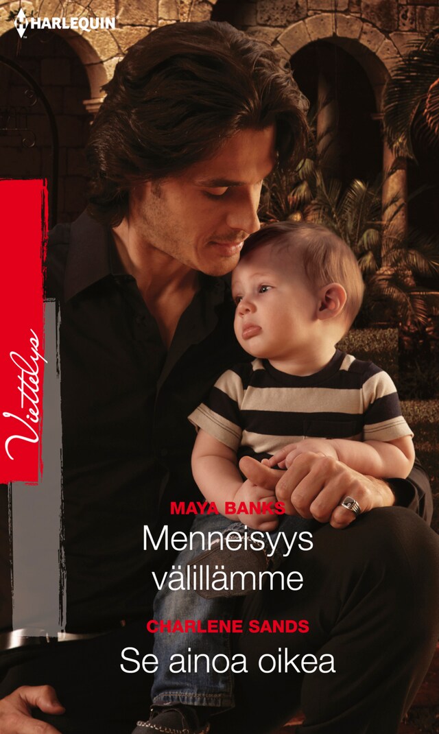 Book cover for Menneisyys välillämme / Se ainoa oikea