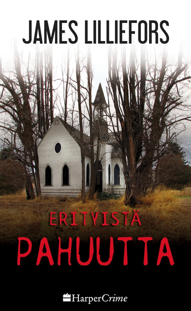 Book cover for Erityistä pahuutta