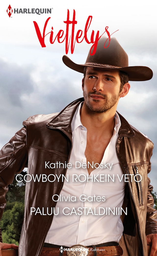Book cover for Cowboyn rohkein veto / Paluu Castaldiniin