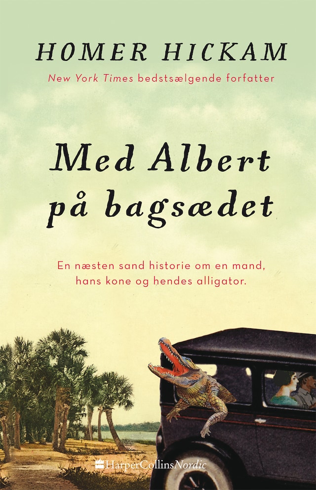 Buchcover für Med Albert på bagsædet