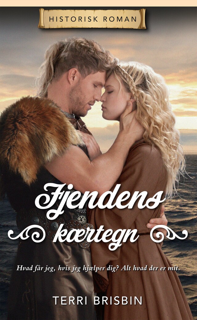 Okładka książki dla Fjendens kærtegn