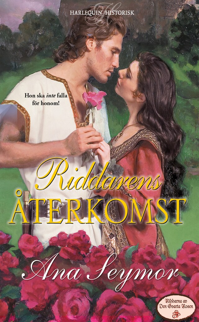 Book cover for Riddarens återkomst