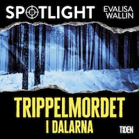Trippelmordet i Dalarna