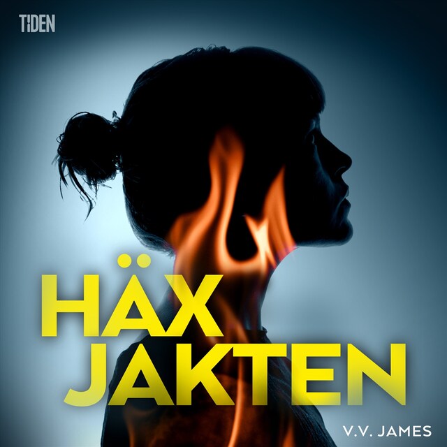 Book cover for Häxjakten