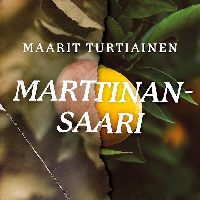 Book cover for Marttinansaari