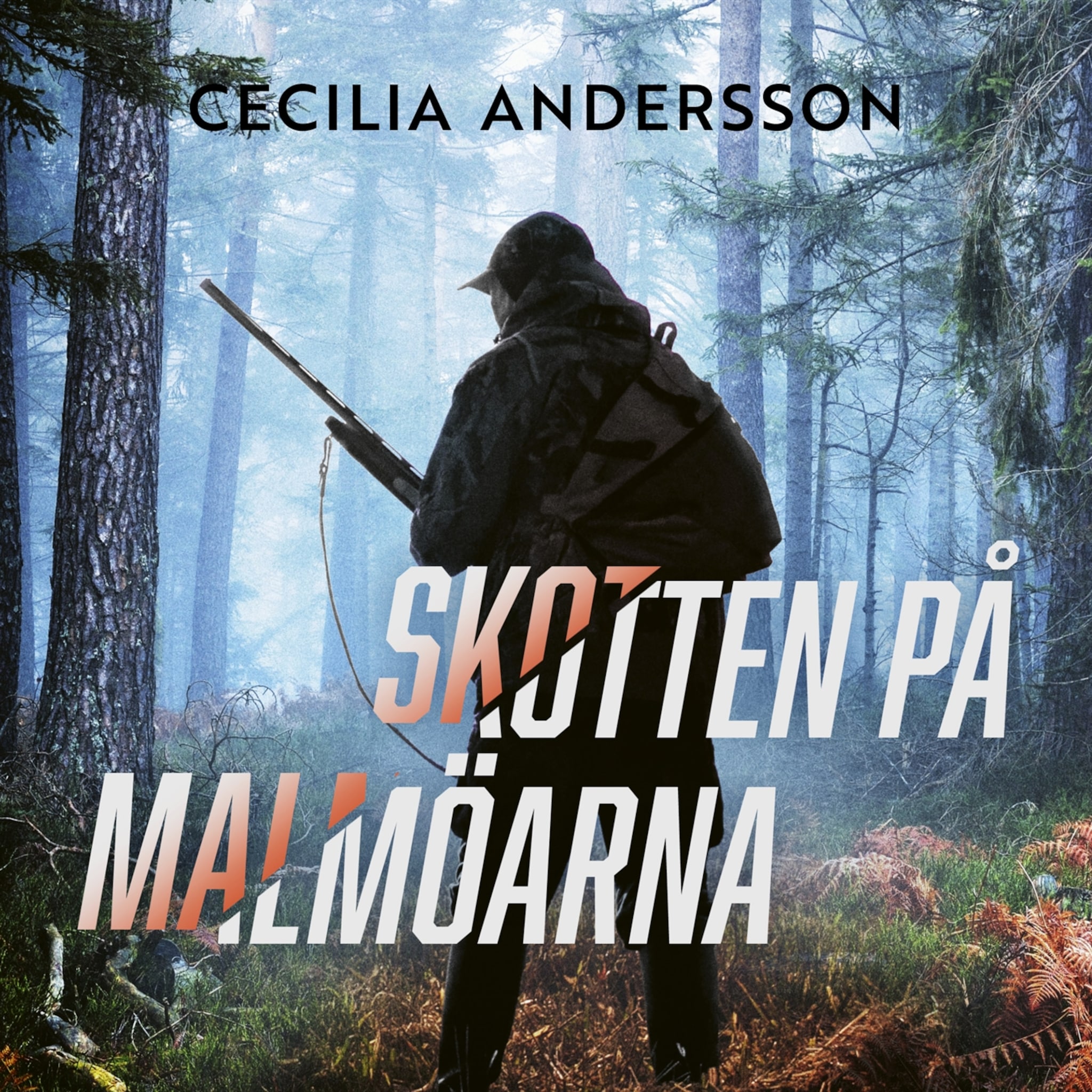 Skotten på Malmöarna