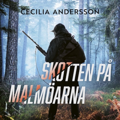 Skotten på Malmöarna