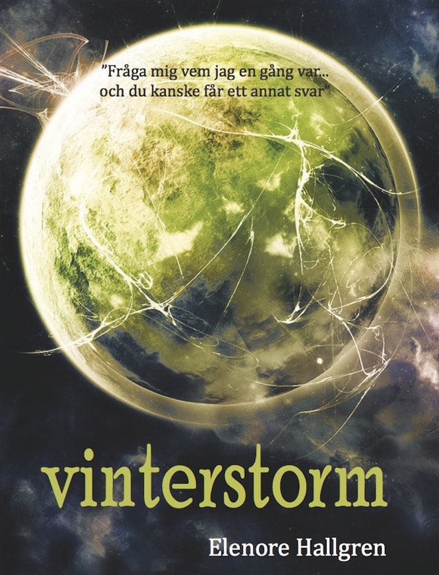 Book cover for Vinterstorm