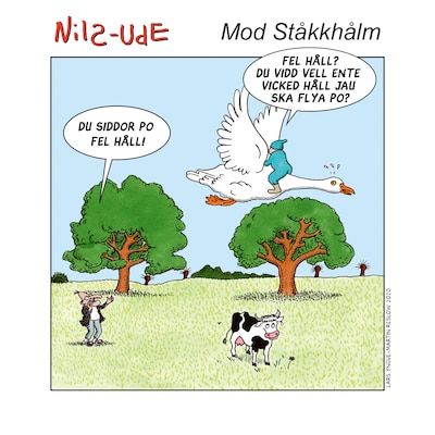 Mod Ståkkholm