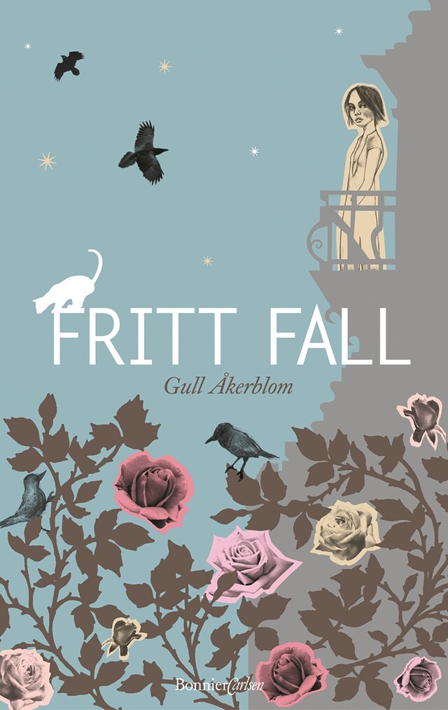 Boekomslag van Fritt fall