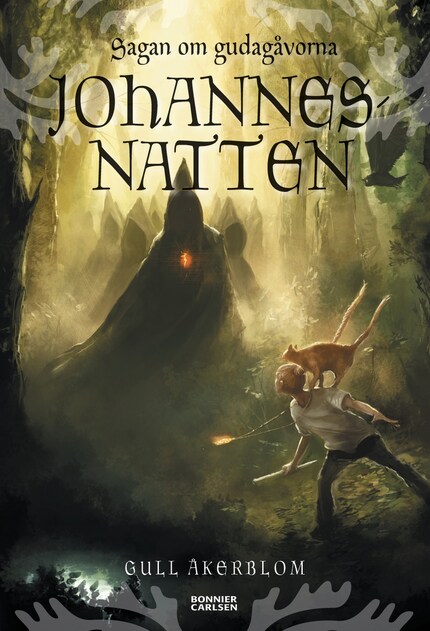 Johannesnatten bookCoverFor