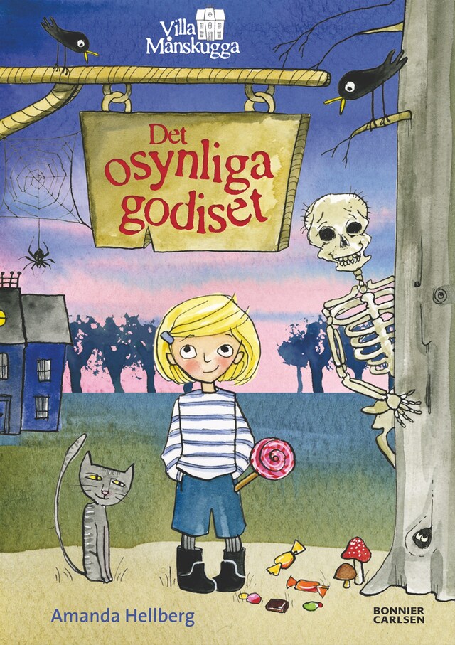 Book cover for Det osynliga godiset