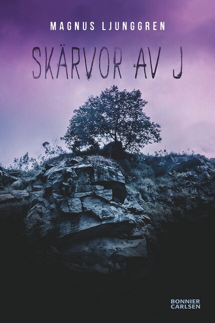 Skärvor av J bookCoverFor
