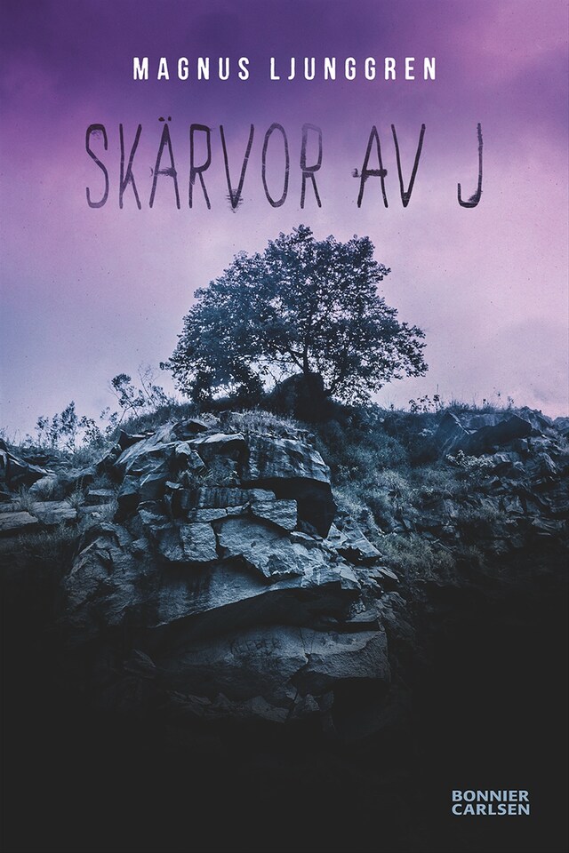 Buchcover für Skärvor av J