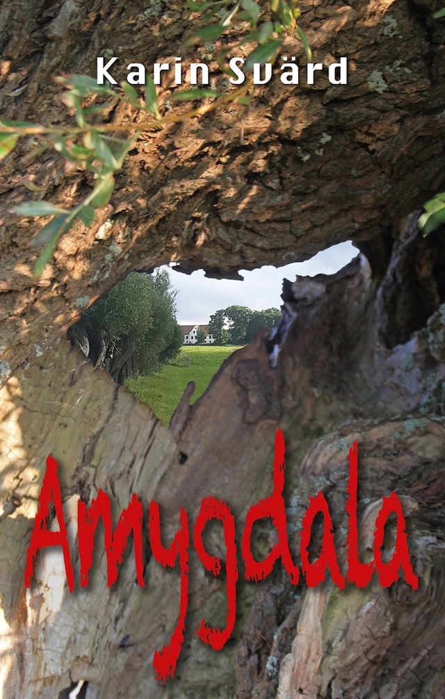 Book cover for Amygdala