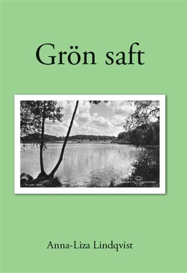 Okładka książki dla Grön saft