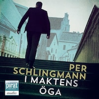 I maktens öga