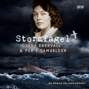 Stormfågel bookCoverFor