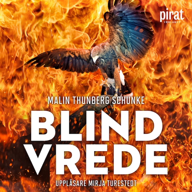 Book cover for Blind vrede