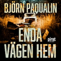 Enda vägen hem