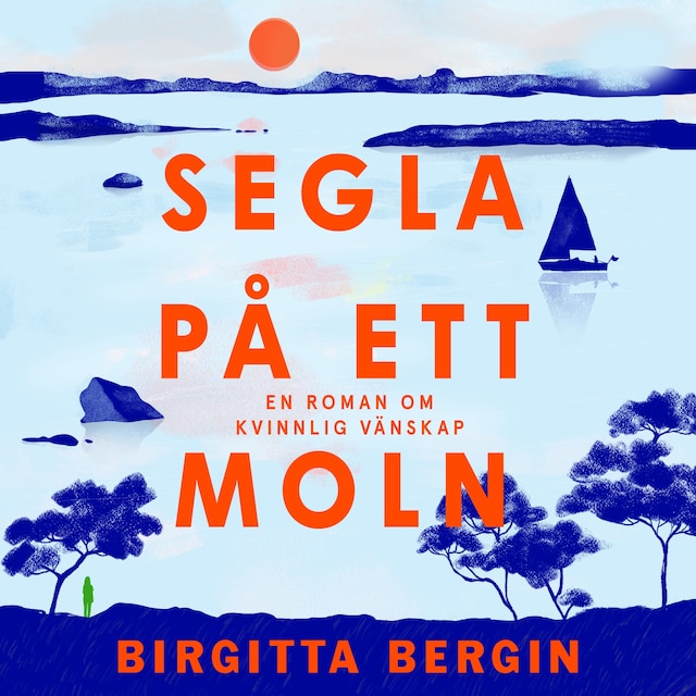 Book cover for Segla på ett moln