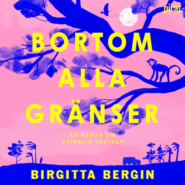 Couverture de livre pour Bortom alla gränser