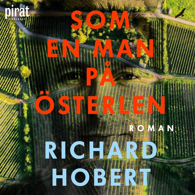 Book cover for Som en man på Österlen