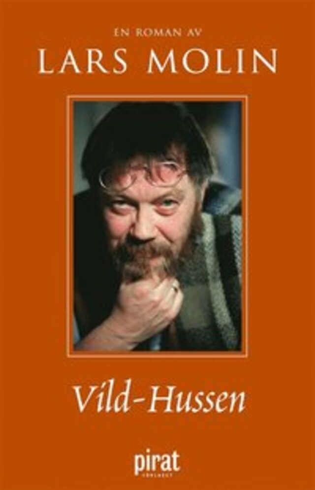 Book cover for Vild-Hussen
