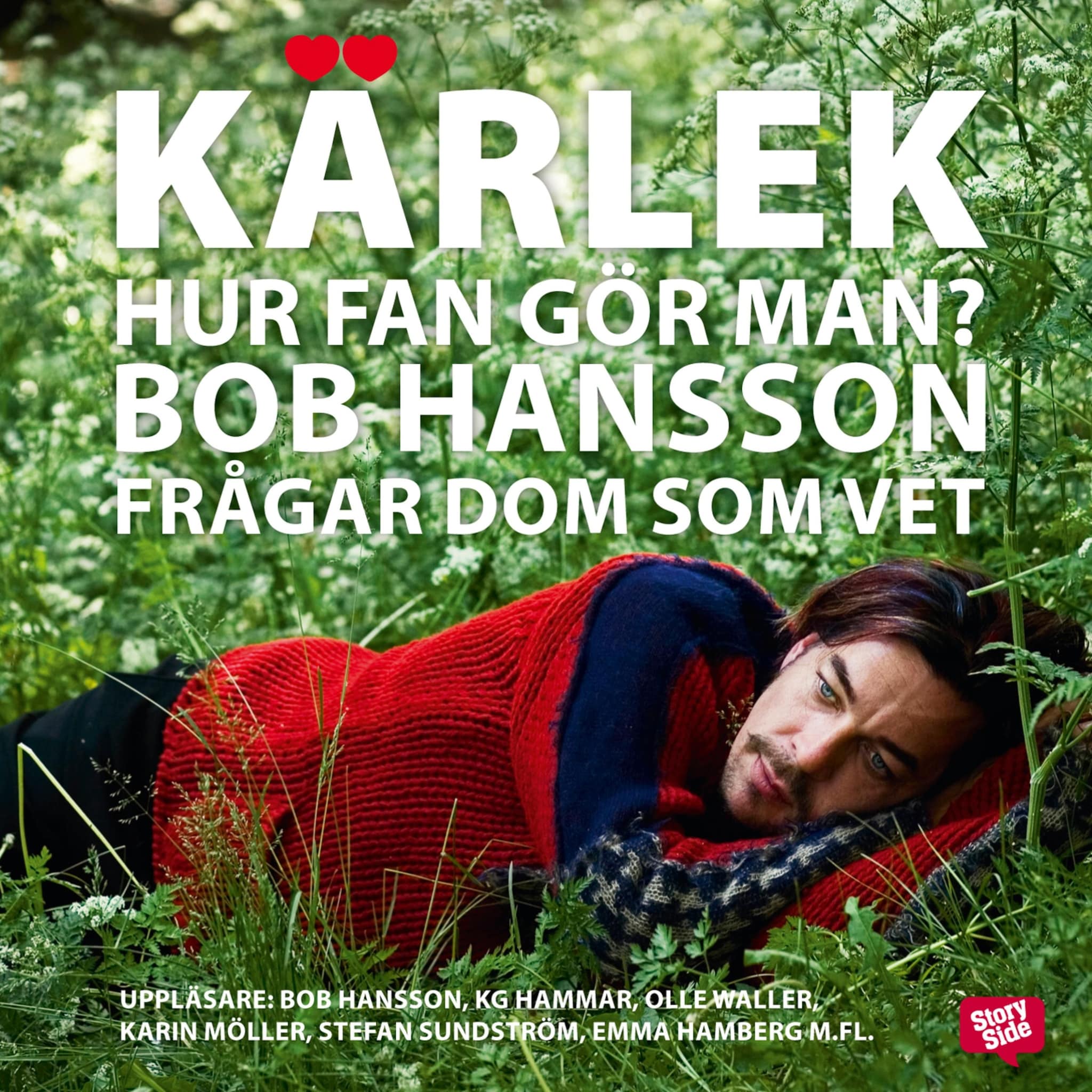 Kärlek - hur fan gör man