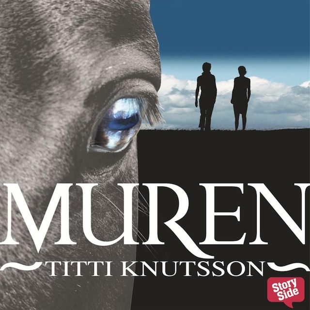 Book cover for Muren