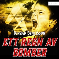 Ett regn av bomber (lättläst)