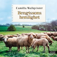 Bengtssons hemlighet (lättläst)