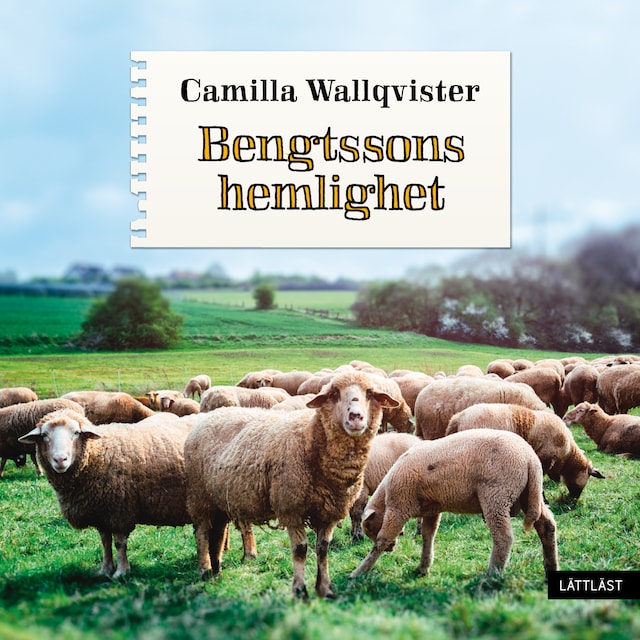 Book cover for Bengtssons hemlighet / Lättläst