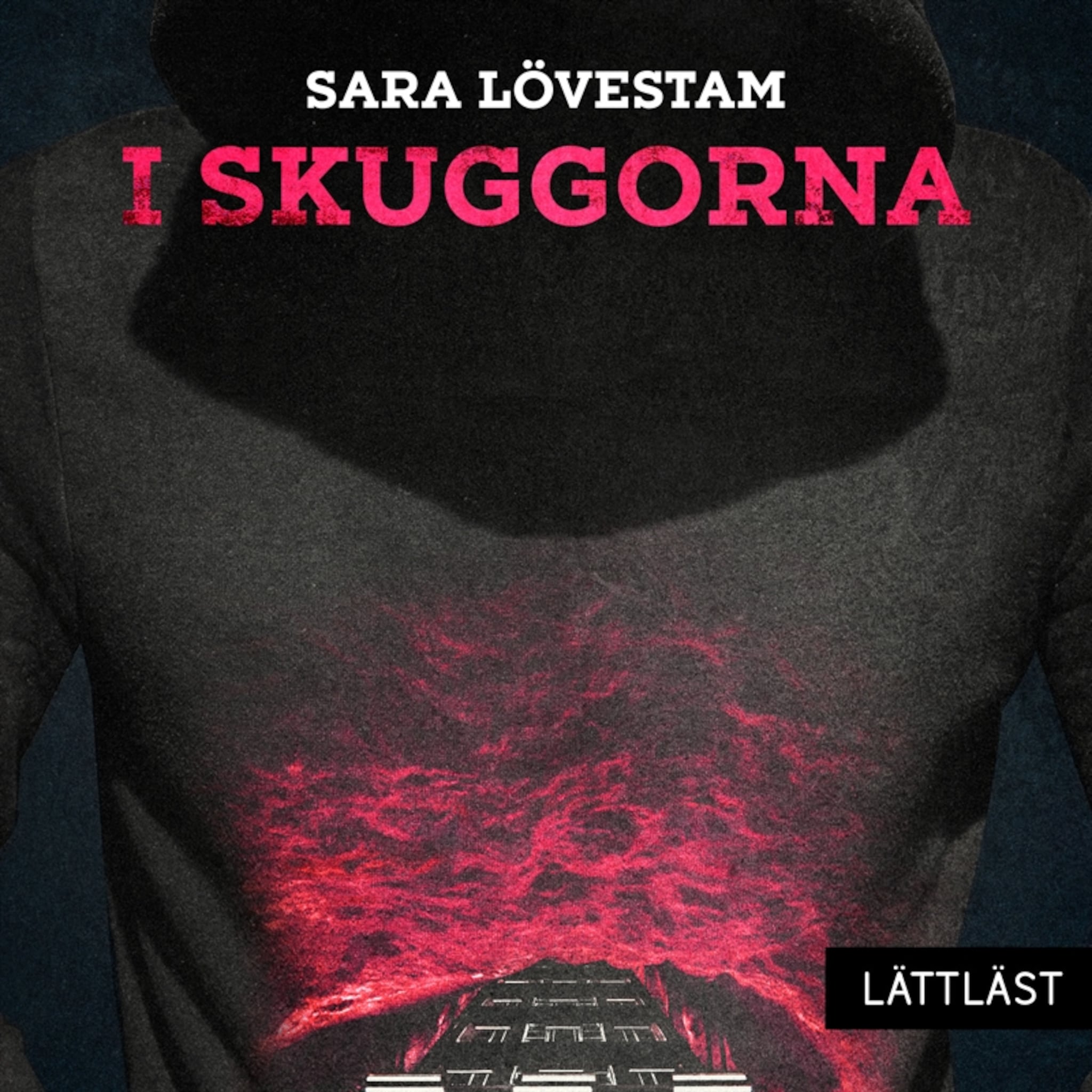 I skuggorna (lättläst)