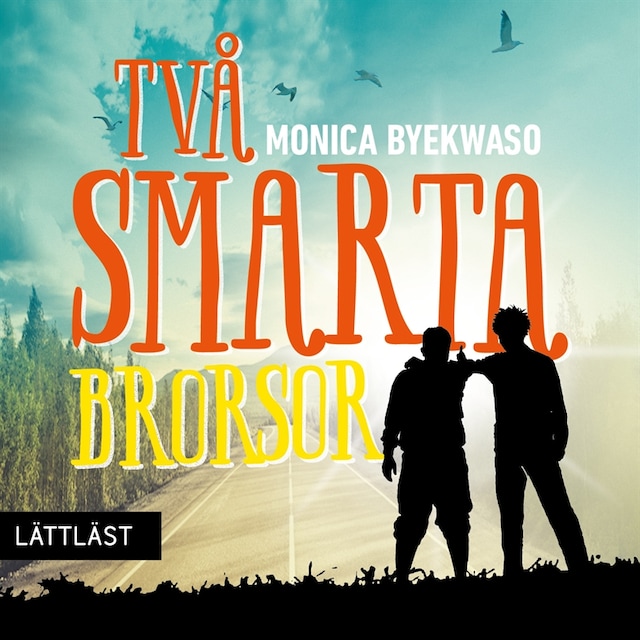 Book cover for Två smarta brorsor / Lättläst